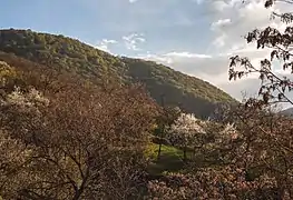 Scenery around Koghb