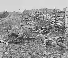 Black and white photograph showing several dead soldiers on the ground along a wooden fence.