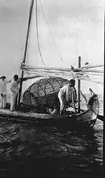 Mayang with a large fishing trap in the Thousand islands, bay of Batavia.