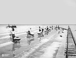 Cuadrilla de trabajadores de las salinas del Bebedero en plena labor, 1934
