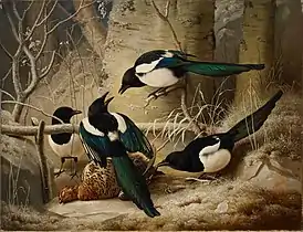 Magpies round a Dead Woodgrouse, 1867