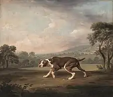 The Pointer (ca. 1766), oil on canvas, 61 x 70 cm., Neue Pinakothek