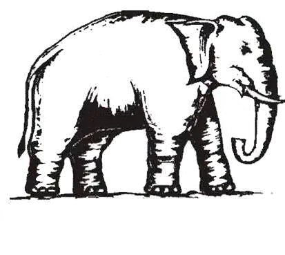 BSP elephant
