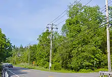 A road in a wooded area with another road going off to the right. There are tall trees and dense underbrush on the corner opposite. Telephone poles line the right side, and two cars are approaching in the distance.