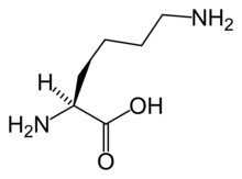 L-Lysine(Lys / K)