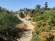 Babb Creek confluence at Silver Ave.