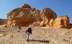 Sediments of Hermiin Tsav, a locality in the Barun Goyot Formation.