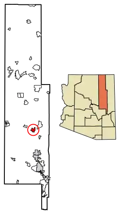 Location of Holbrook in Navajo County, Arizona
