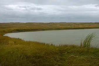 A freshwater pond (Nov 2022)