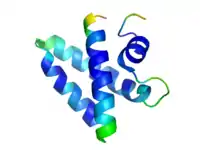 Saposin A (PDB: 2DOB).