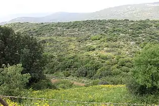 Dale directly below the site of Selamin