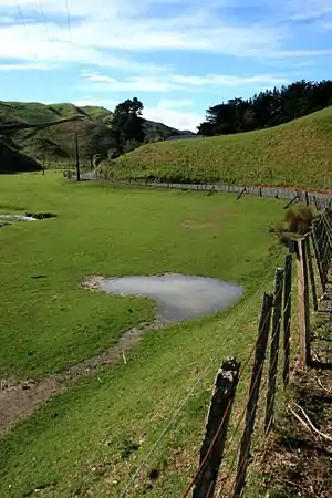 Takapu Valley looking NE on a clear winters afternoon