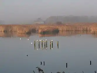 Titchfield Haven Nature Reserve